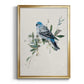Bluebird Happy II - Modern Framed Canvas Print
