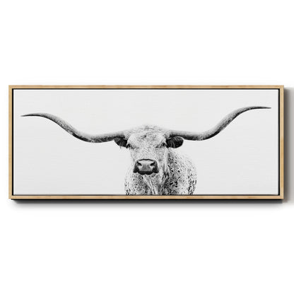 Longhorn Gaze - Floater Framed Canvas Print