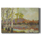 Birch Stand Premium Gallery Wrapped Canvas - Ready to Hang