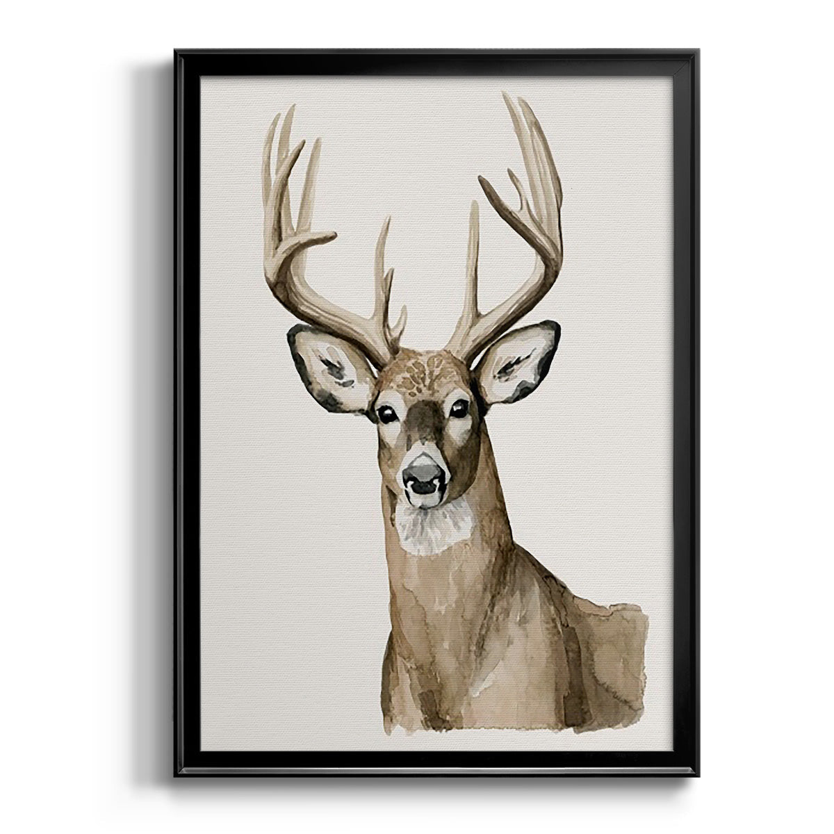 Handsome Whitetail I - Modern Framed Canvas Print