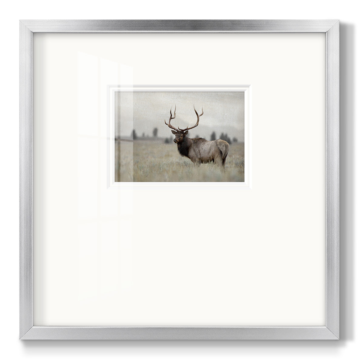 Grand Elk - Double Matboard Framed Print