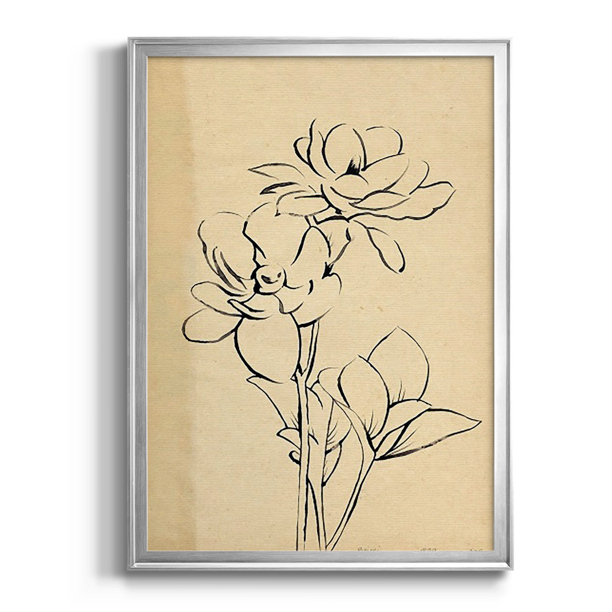 Magnolia Sketch II - Modern Framed Canvas Print