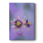 Exotic Flower Burst II - Canvas Art Print