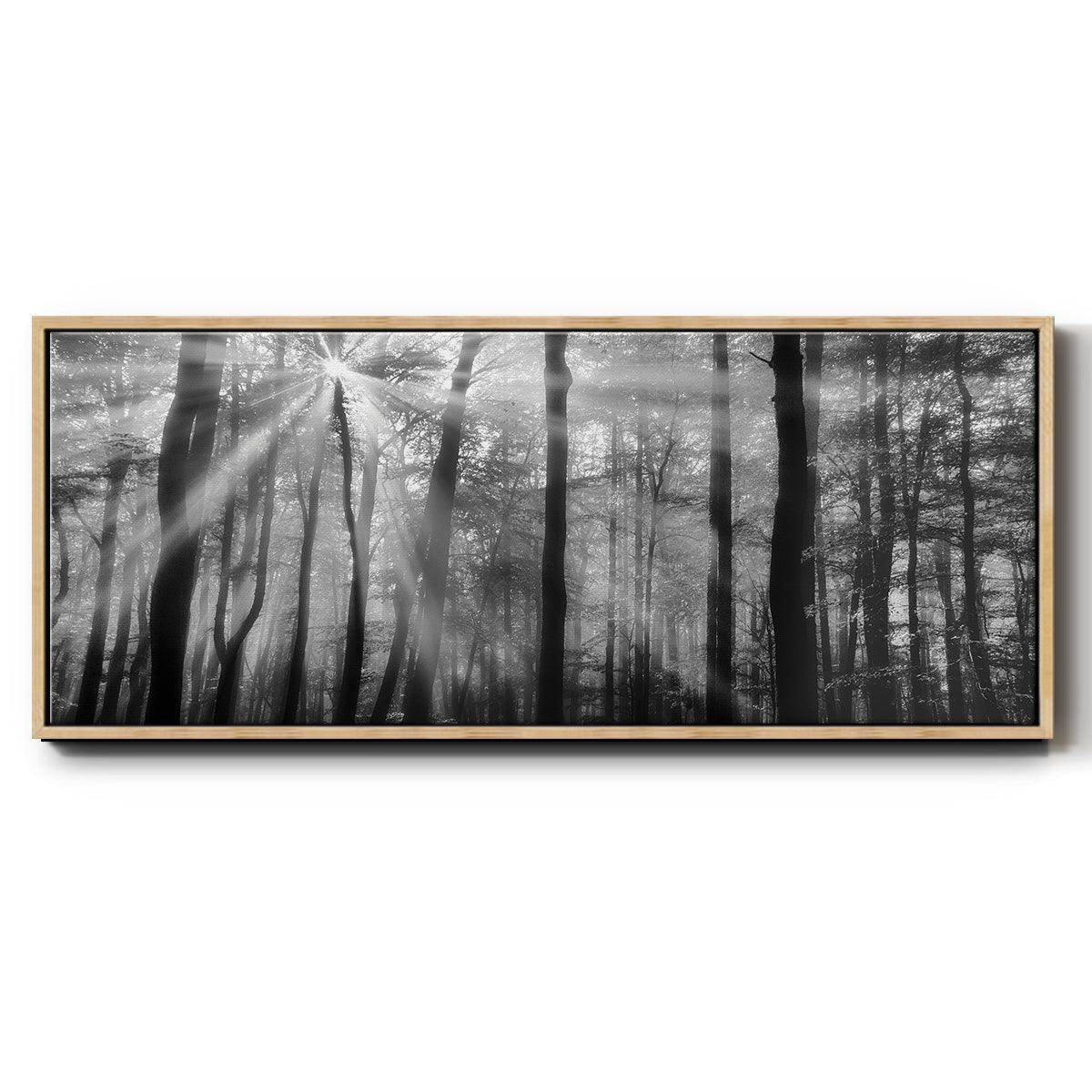 Breaking Through - Floater Framed Canvas Print