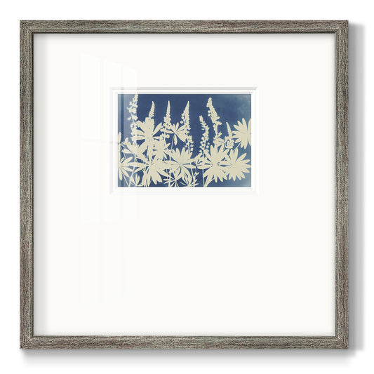 Lovely Lupine- Premium Framed Print Double Matboard