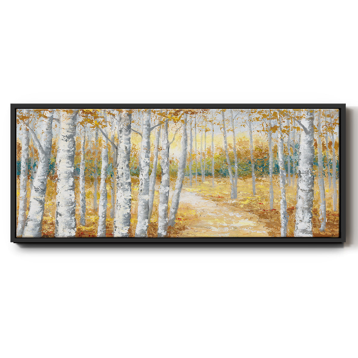 Birch Path I - Floater Framed Canvas Print