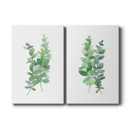 Eucalyptus I - Canvas Art Set