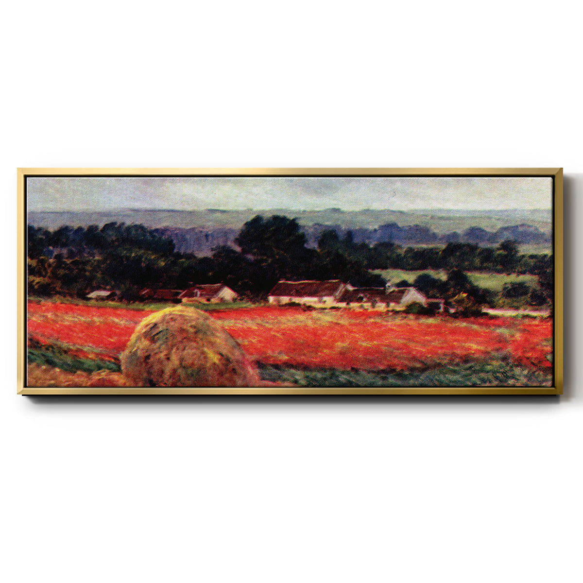 The Poppy Blumenfeld (The Barn) - Floater Framed Canvas Print