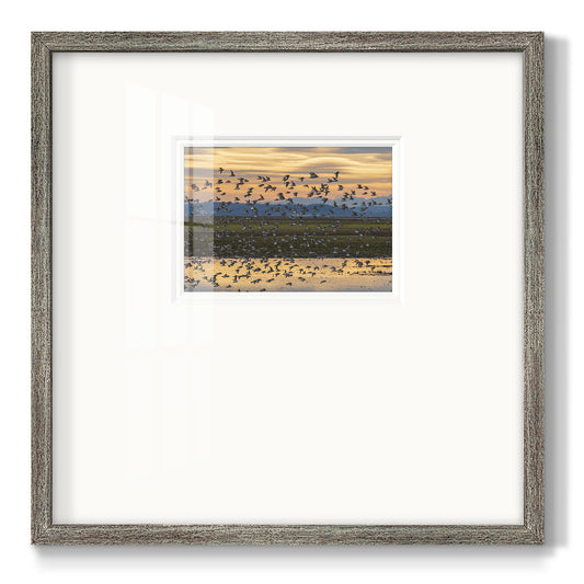 Sunset Flight- Premium Framed Print Double Matboard