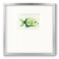 Speckled Freshwater Fish II Premium Framed Print Double Matboard