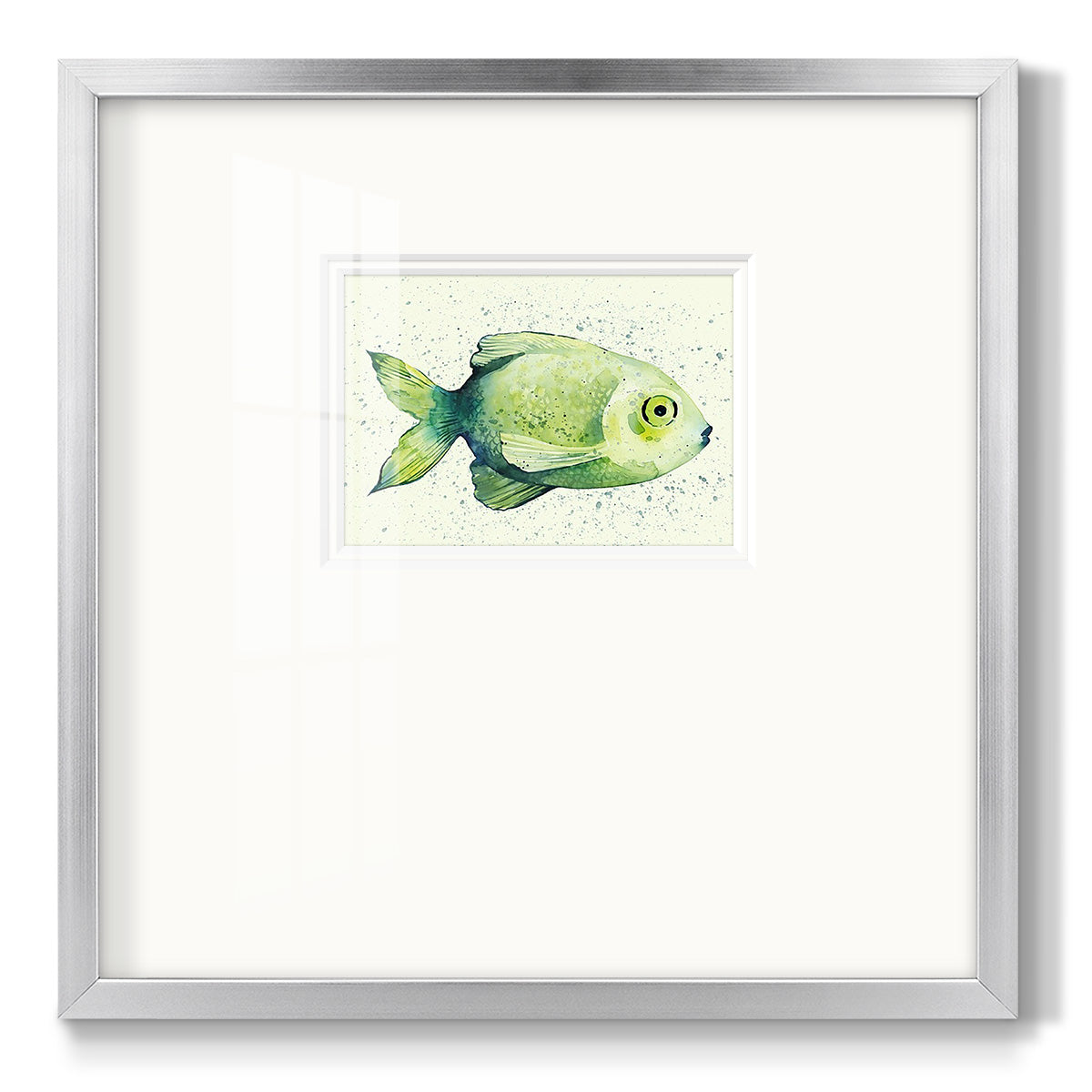 Speckled Freshwater Fish II Premium Framed Print Double Matboard