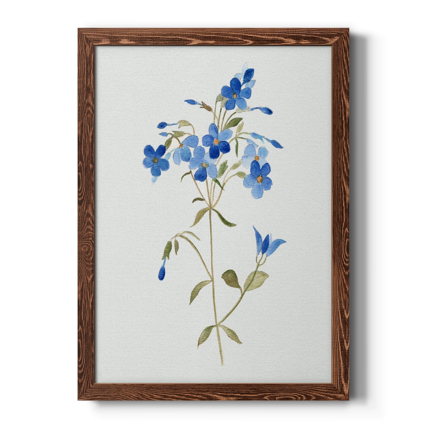 Blue Blossom Botanical II - Barnwood Framed Canvas Print