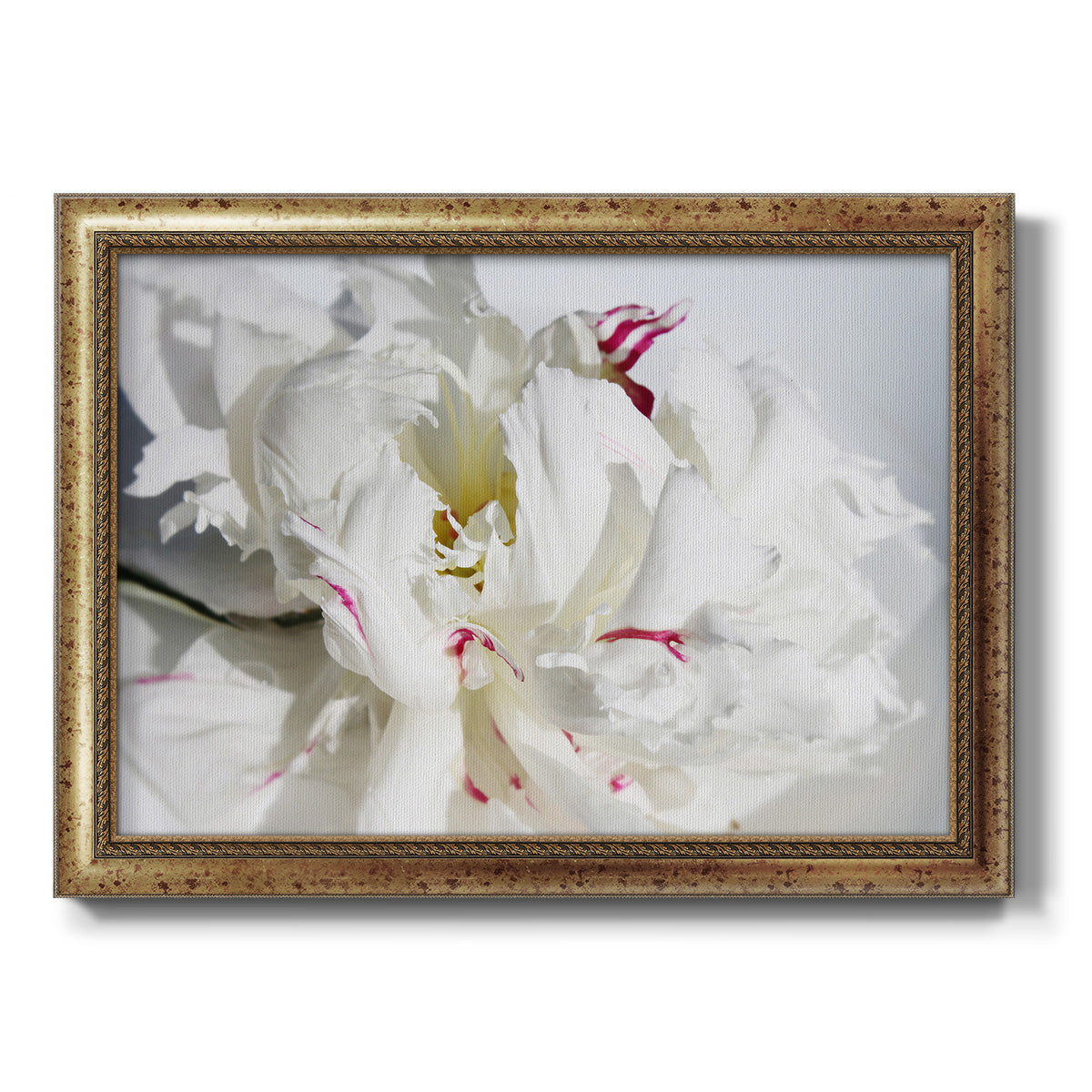 Breathless I Premium Framed Canvas- Ready to Hang