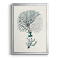 Antique Coastal Coral III - Modern Framed Canvas Print