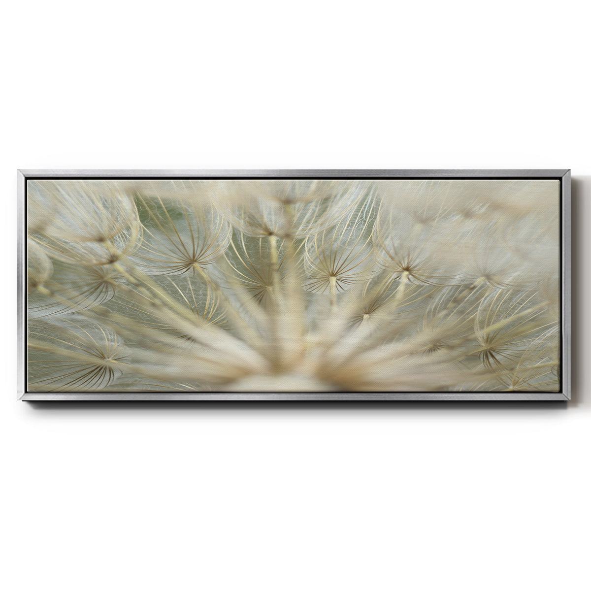 Macro Dandelion IV - Floater Framed Canvas Print