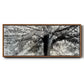 Story From Light and Shadow - Floater Framed Canvas Print