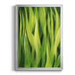 Blades of Grass I - Modern Framed Canvas Print
