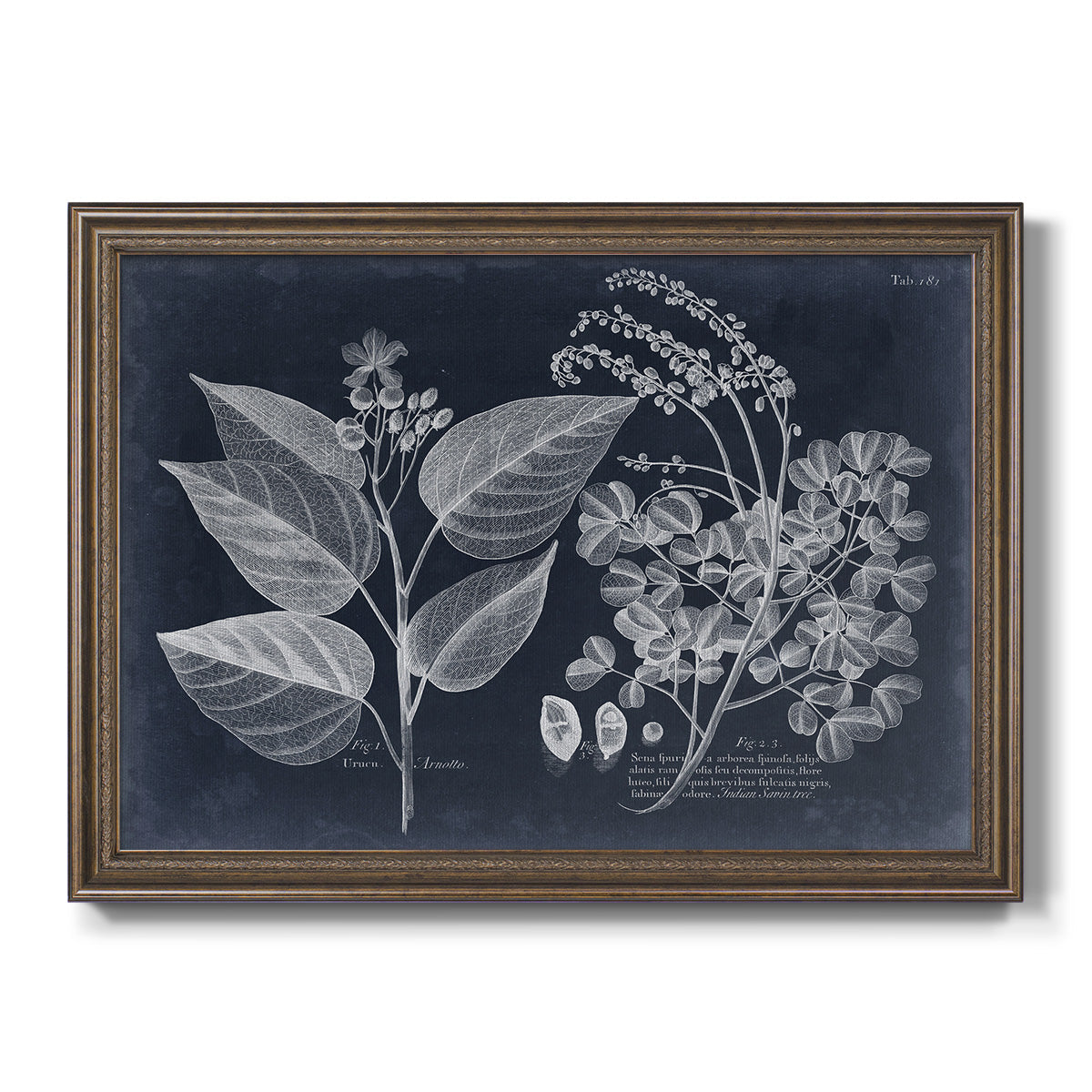 Foliage on Navy III Premium Framed Canvas- Ready to Hang