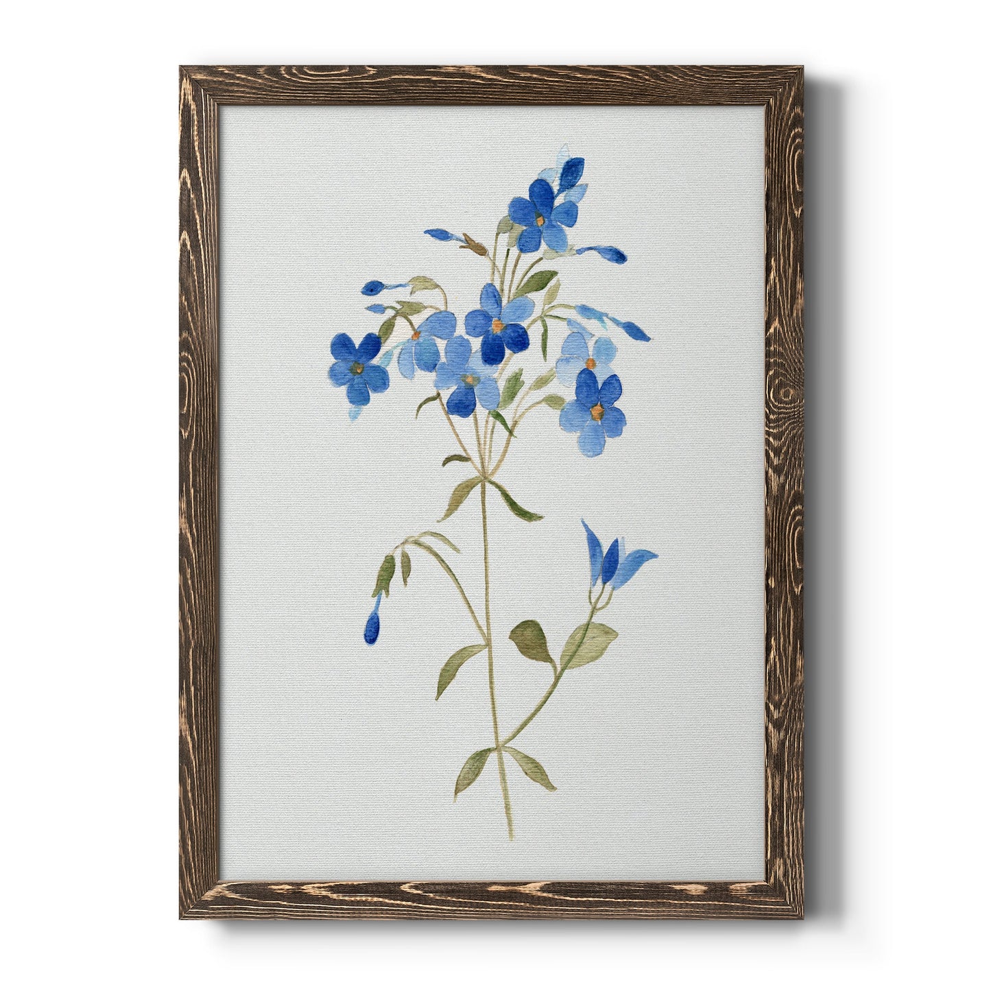 Blue Blossom Botanical II - Premium Canvas Framed in Barnwood - Ready to Hang