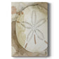 Dry Sand Dollar II Premium Gallery Wrapped Canvas - Ready to Hang