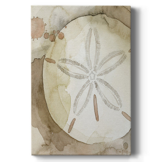 Dry Sand Dollar II - Canvas Art Print