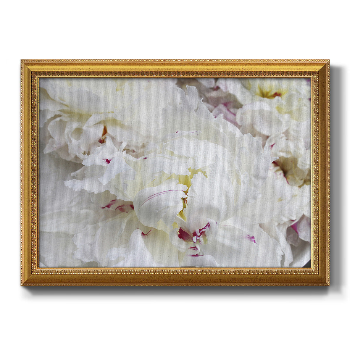 Breathless VI - Ornate Framed Canvas Print