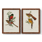 Elegant Trogons I - Premium Framed Canvas 2 Piece Set - Ready to Hang