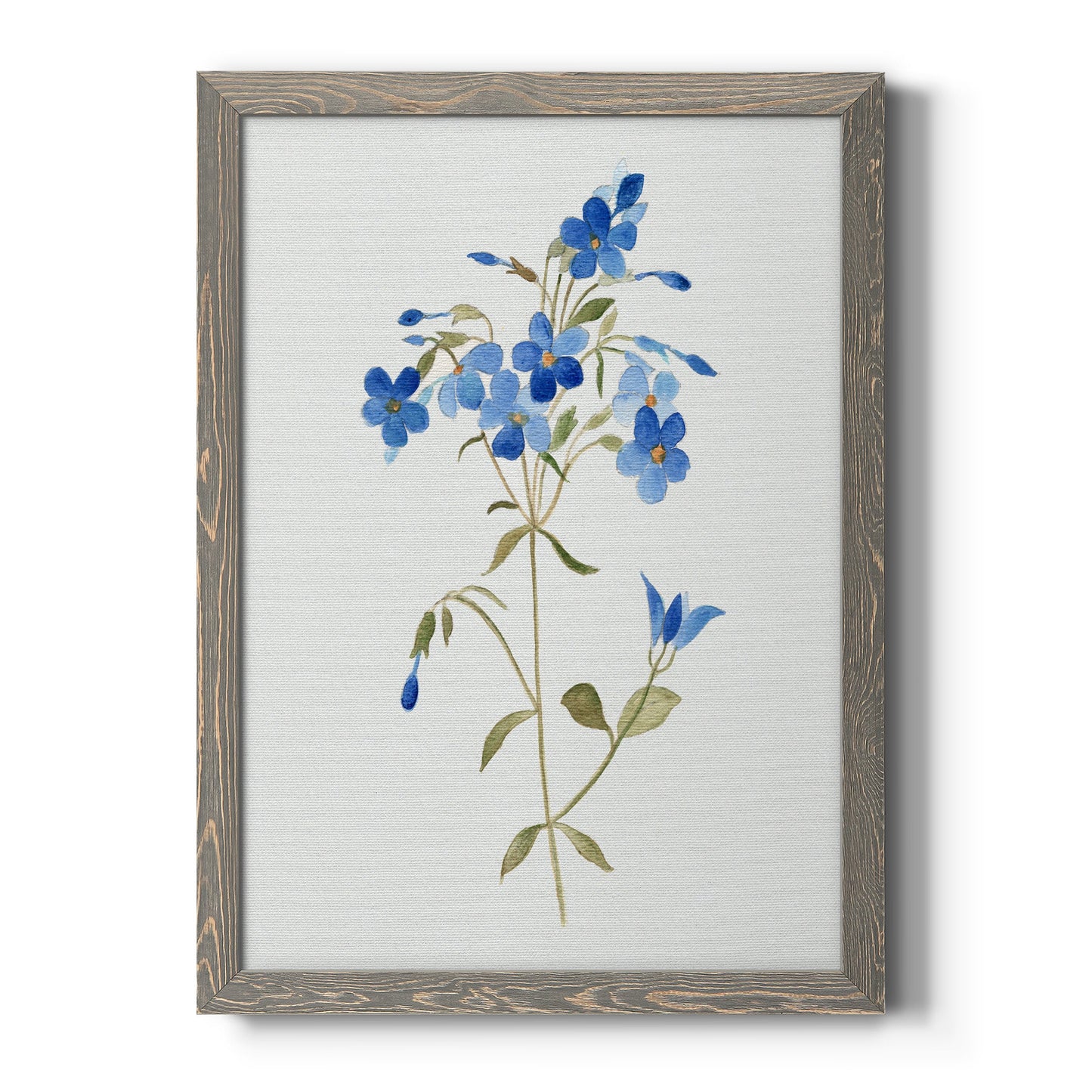 Blue Blossom Botanical II - Premium Canvas Framed in Barnwood - Ready to Hang