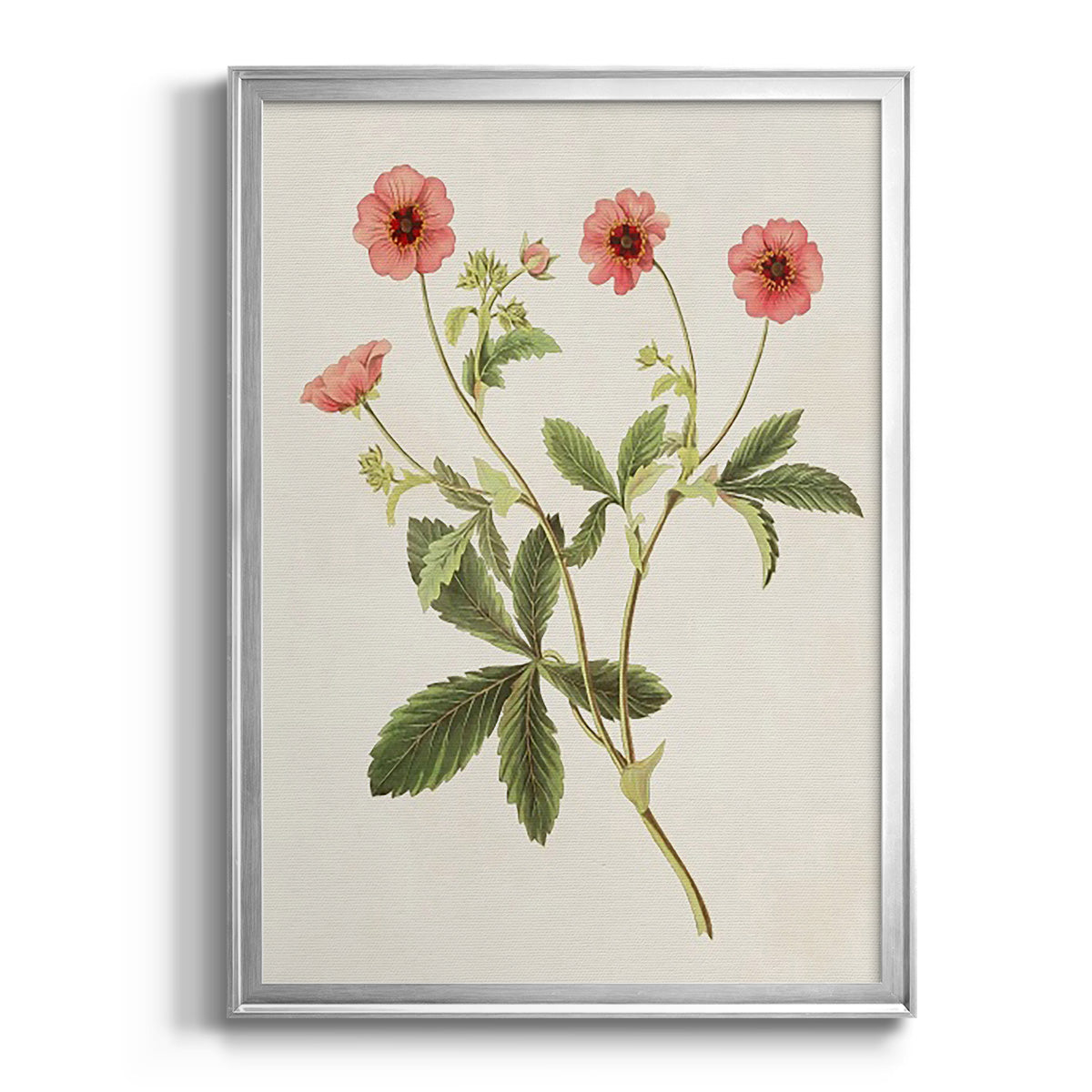 Flowers of the Seasons VIII - Modern Framed Canvas Print