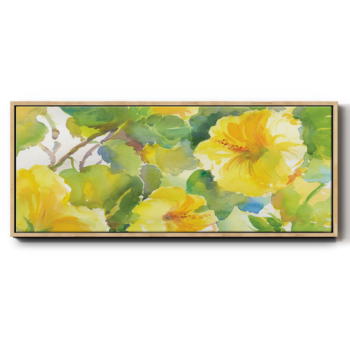 Citrus Hibiscus II - Floater Framed Canvas Print