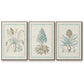 Willow Blue Besler IV - Floater Framed Canvas Set