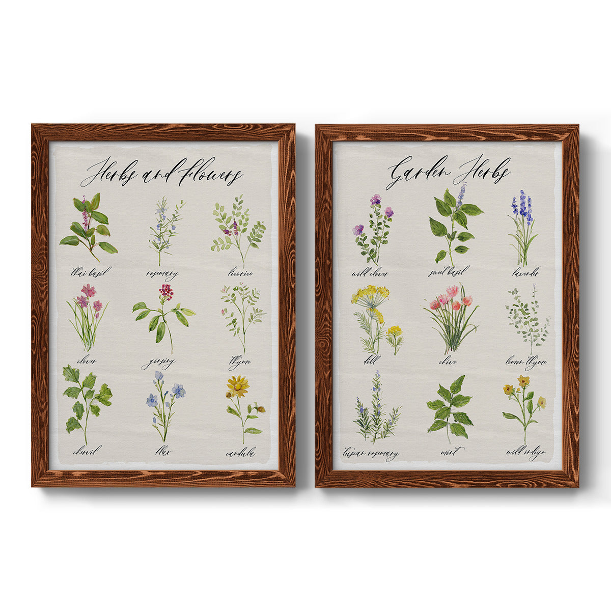 Herbs and Flowers - Premium Framed Canvas 2 Piece Set - Ready to Hang