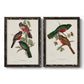 Elegant Trogons V - Premium Framed Canvas 2 Piece Set - Ready to Hang