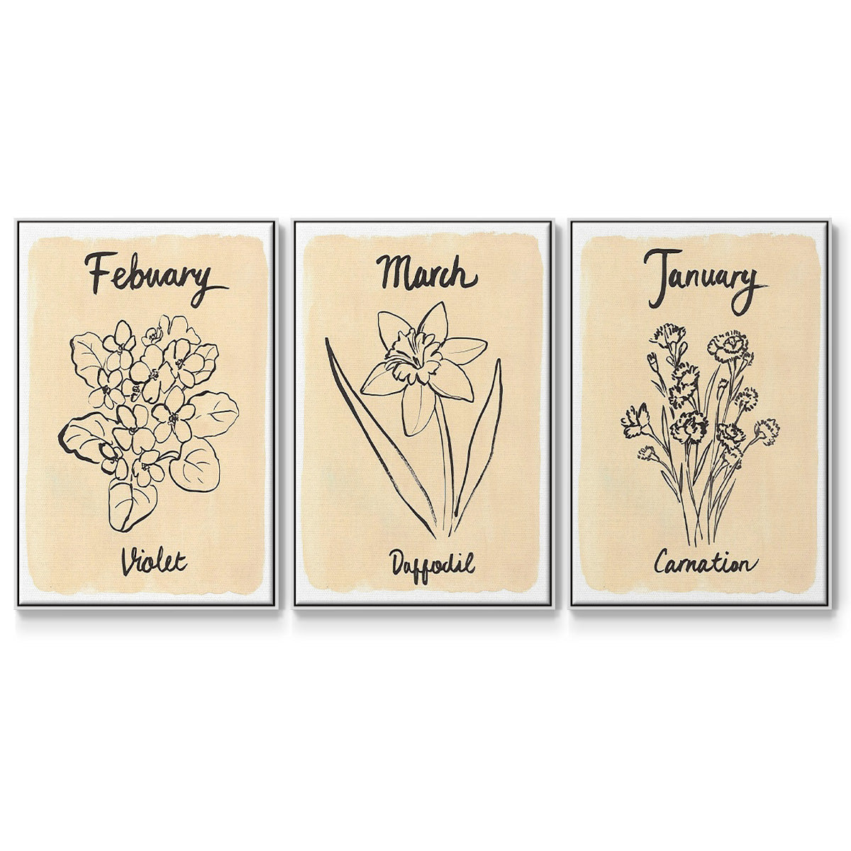 Birth Month I - Floater Framed Canvas Set
