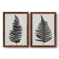 Forest Fern III - Premium Framed Canvas 2 Piece Set - Ready to Hang