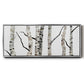 Birch Trees II - Floater Framed Canvas Print
