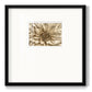 Neutral Wall Flower I - Double Matboard Framed Print