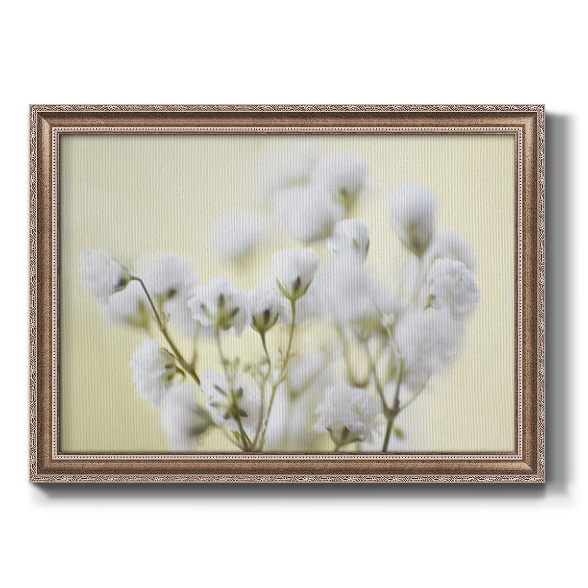 Baby's Breath Study IV Premium Framed Canvas- Ready to Hang