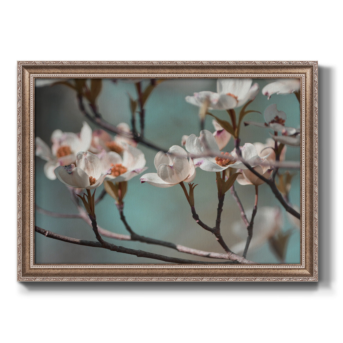 Dogwood Spring IV Premium Framed Canvas- Ready to Hang