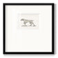 Neutral Pointer II Premium Framed Print Double Matboard