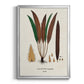 Botanical Society Ferns I - Modern Framed Canvas Print