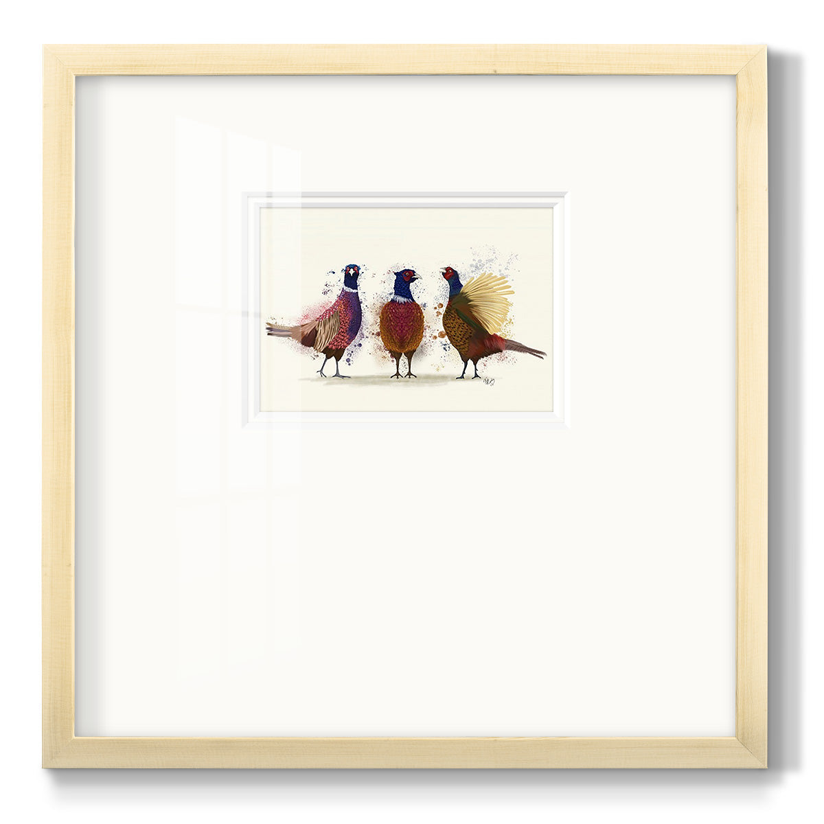 Pheasant Trio - Double Matboard Framed Print
