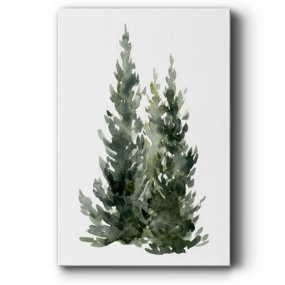 Simple Evergreens I - Gallery Wrapped Canvas