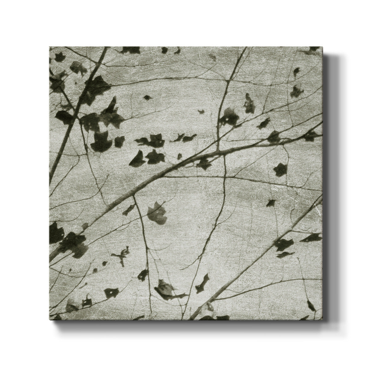 Laced Sky III - Canvas Art Print