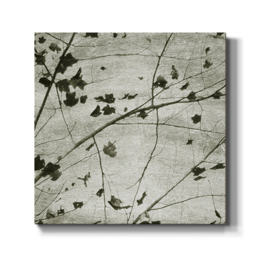 Laced Sky III - Canvas Art Print