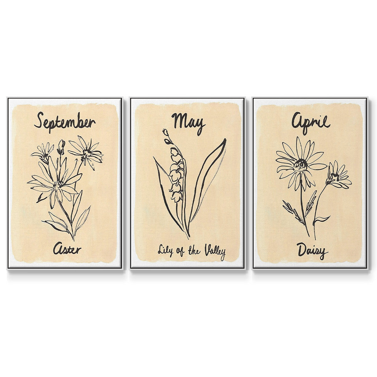 Birth Month IV - Floater Framed Canvas Set
