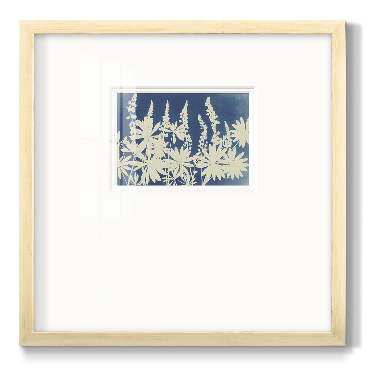 Lovely Lupine- Premium Framed Print Double Matboard