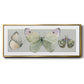 Pretty Insects II - Floater Framed Canvas Print