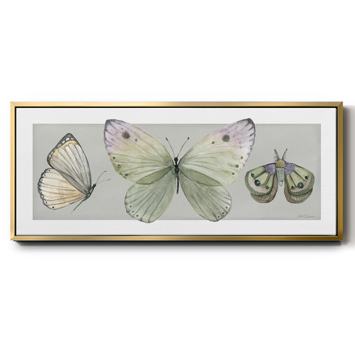 Pretty Insects II - Floater Framed Canvas Print