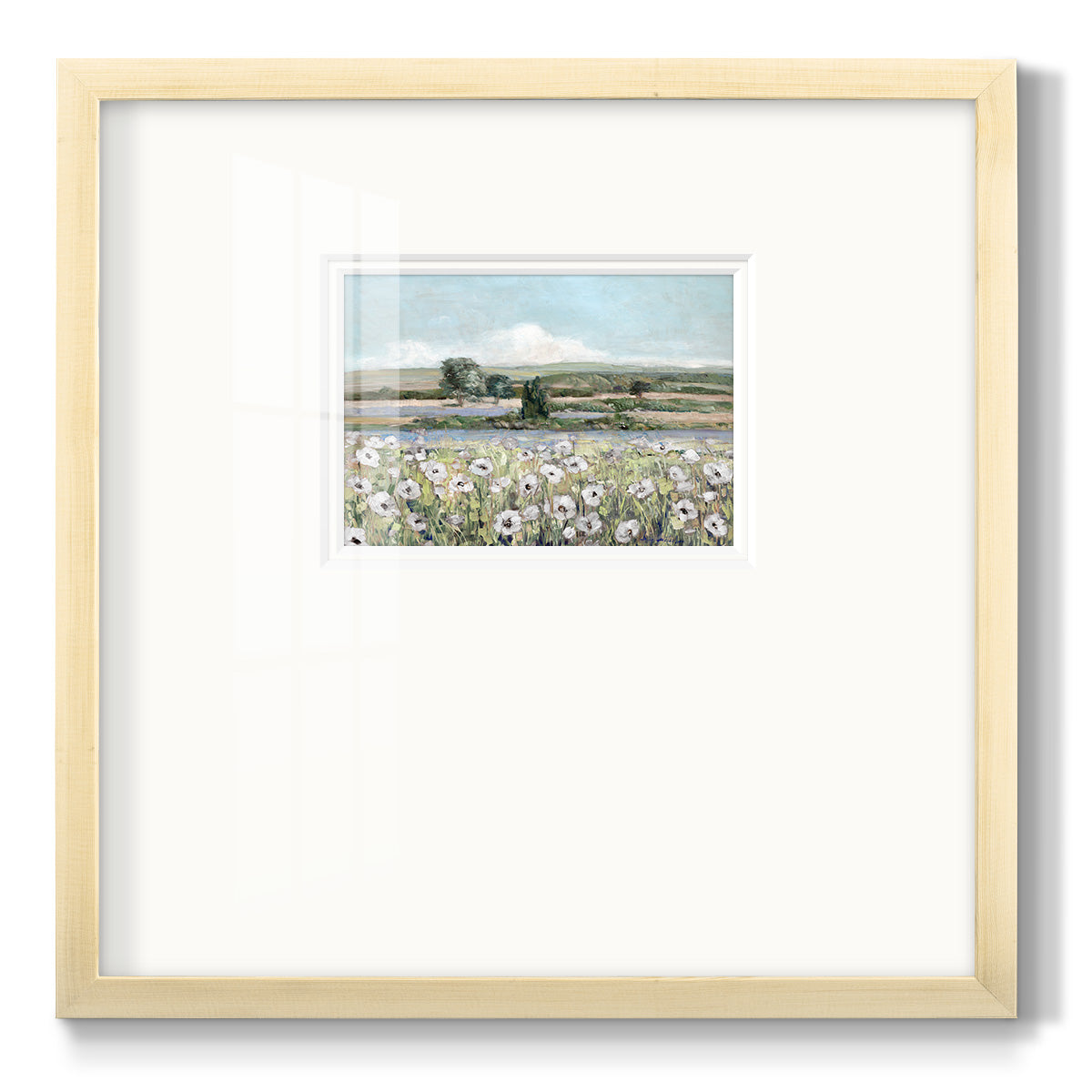 Vintage Poppy Valley - Double Matboard Framed Print